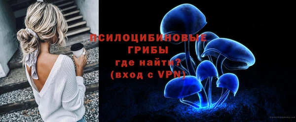 метадон Арсеньев