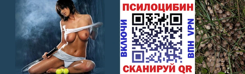 Псилоцибиновые грибы Psilocybine cubensis  Спасск-Дальний 